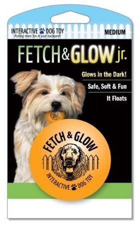Fetch & Glow Ball Med-Spunky Pup