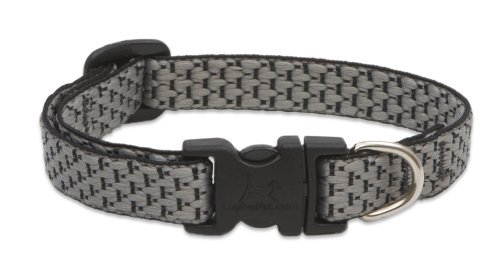 Lupine Eco Dog Collar - Granite