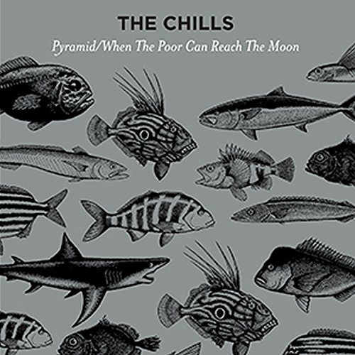 Chills/Pyramid / When The Poor Can Re@12" Vinyl w/ DL