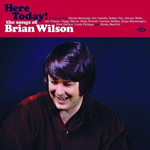 Here Today! Songs Of Brian Wilson/Here Today! Songs Of Brian Wilson@Lp