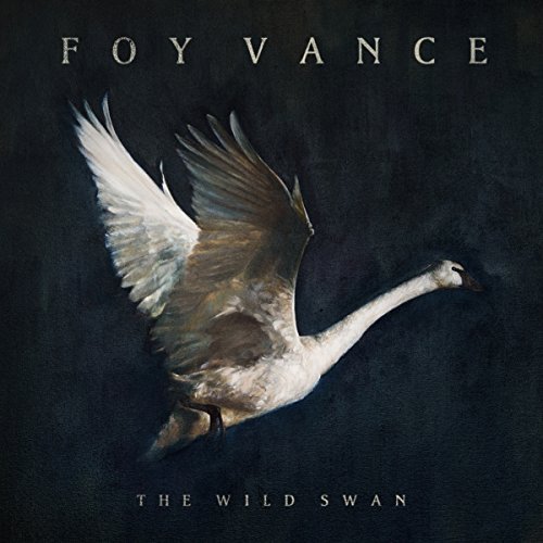 Foy Vance/Wild Swan
