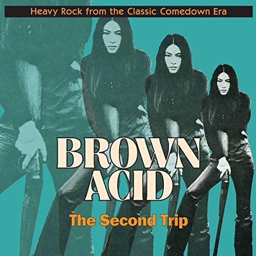 Various Artist/Brown Acid: Second Trip