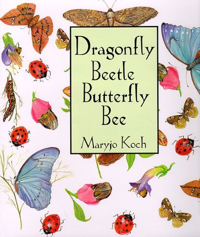 Maryjo Koch Dragonfly Beetle Butterfly Bee 