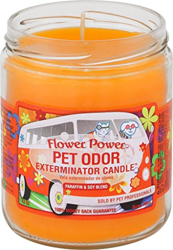 Pet Odor Exterminator Flower Power Deordorizin Candle