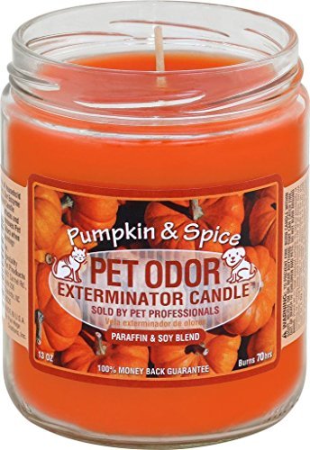 Pet Odor Exterminator Pumpkin Spice Deodorizing Candle