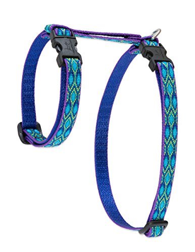 Lupine Cat Harness - Rain Song - 1/2" Wide