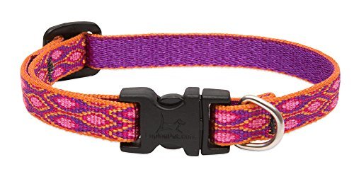 Lupine Dog Collar - Alpen Glow-1/2" Wide