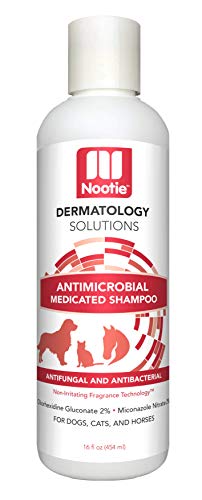 Nootie Pet Shampoo - Antimicrobial Medicated