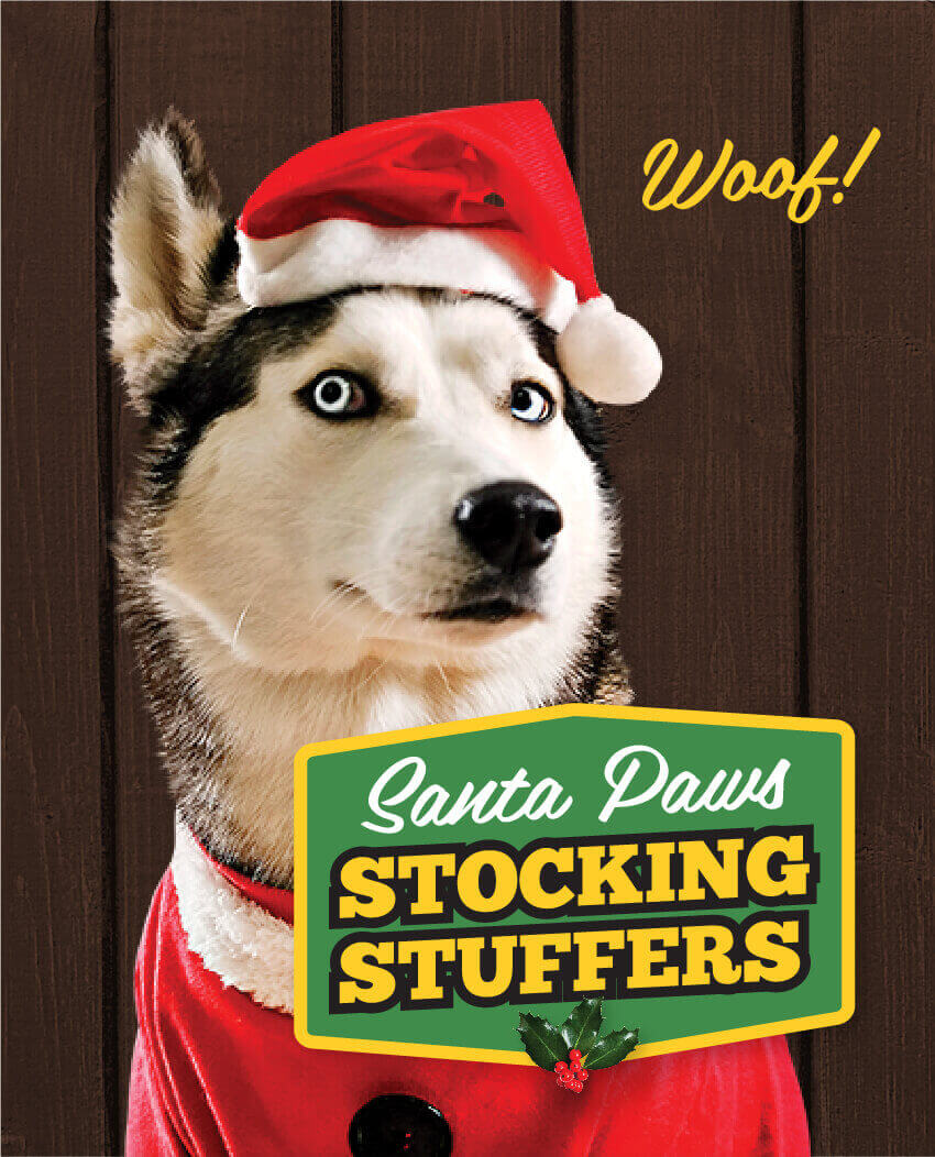Santa Paws Stocking Stuffers