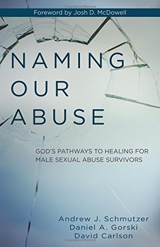 Andrew Schmutzer Naming Our Abuse God's Pathways To Healing For Male Sexual Abuse S 