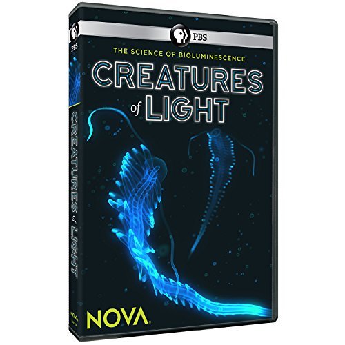 Nova/Creatures Of Light@PBS/Dvd