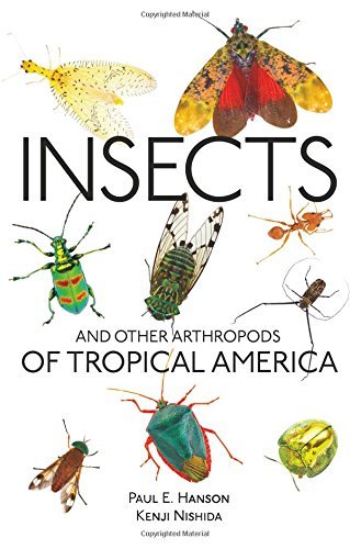 Paul E. Hanson Insects And Other Arthropods Of Tropical America 