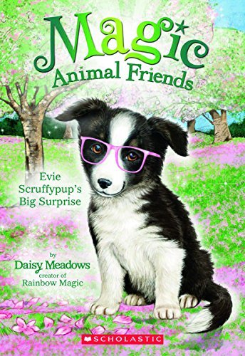 Daisy Meadows/Evie Scruffypup's Big Surprise (Magic Animal Frien