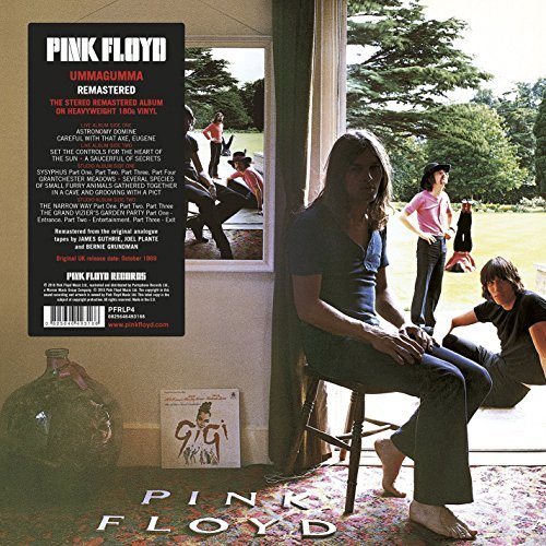 Pink Floyd/Ummagumma (2 LP) (180g Vinyl)