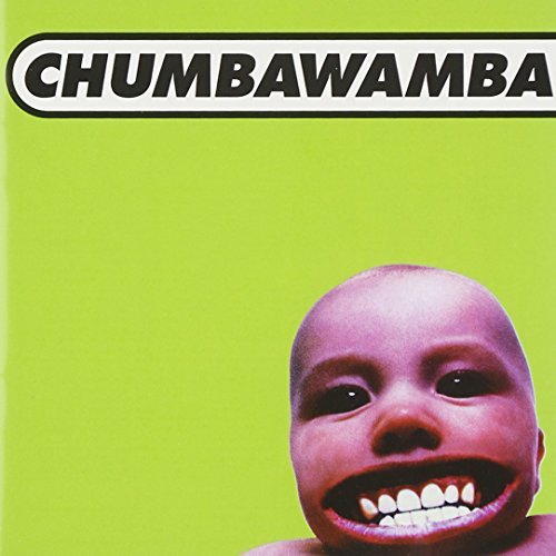 Chumbawamba/Tubthumper