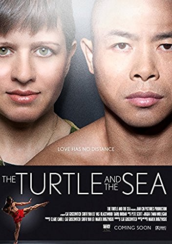 Turtle & The Sea/Turtle & The Sea