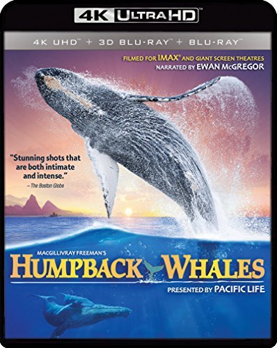 Humpback Whales/Imax@4KUHD@Nr