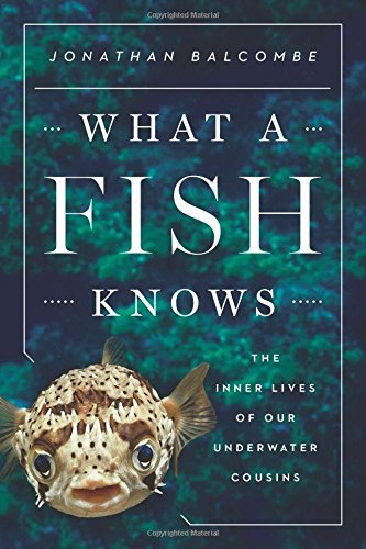 Jonathan Balcombe What A Fish Knows The Inner Lives Of Our Underwater Cousins 