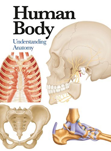 Moose Anatomy Diagram