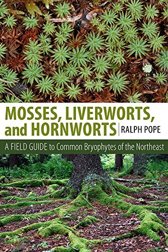 Ralph H. Pope Mosses Liverworts And Hornworts A Field Guide To The Common Bryophytes Of The Nor 