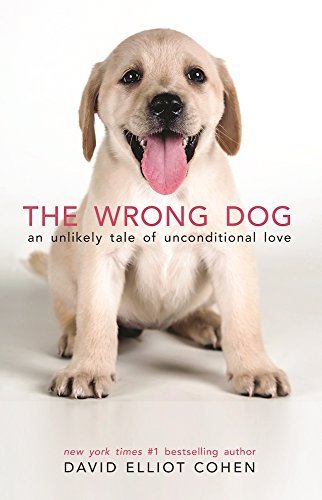 David Elliot Cohen/The Wrong Dog@ An Unlikely Tale of Unconditional Love
