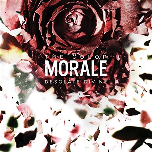 Color Morale/Desolute Divine@Explicit Version