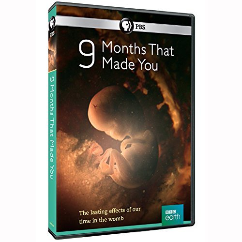 9 Months That Made You/PBS@Dvd@Nr