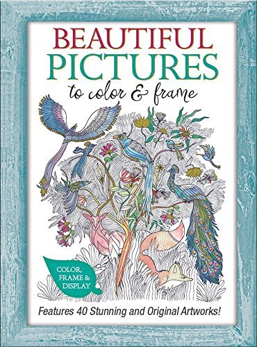 Juliette Barbanegre Beautiful Pictures To Color And Frame Features 40 Stunning And Original Artworks! 