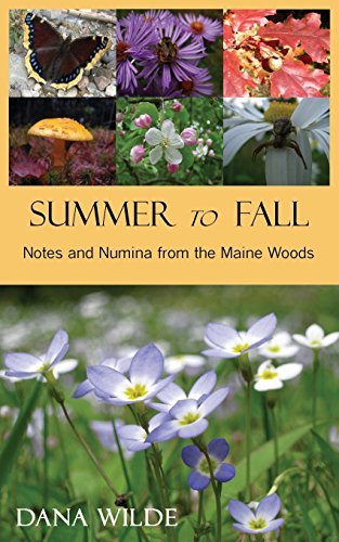 Dana Wilde/Summer to Fall