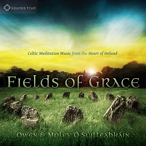 Owen & Moley O Suilleabhain Fields Of Grace 