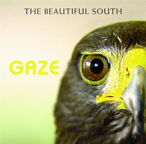 Beautiful South Gaze Import Eu 