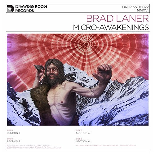 Brad Laner/Micro-Awakenings