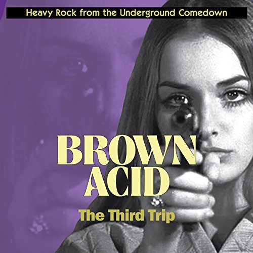 Various Artist Brown Acid Third Trip 