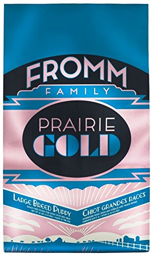 fromm large breed puppy gold formula
