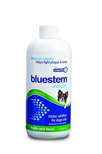 bluestem Water Additive for Dogs - Vanilla & Mint