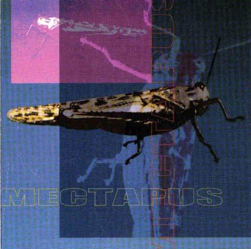 Mectapus/Mectapus