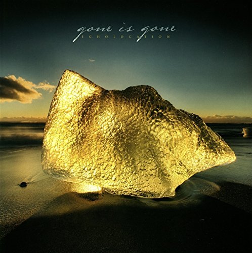 Gone Is Gone/Echolocation@Import-Gbr