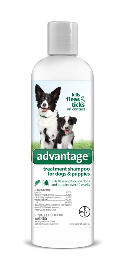 Elanco Advantage Flea & Tick Shampoo for Dogs