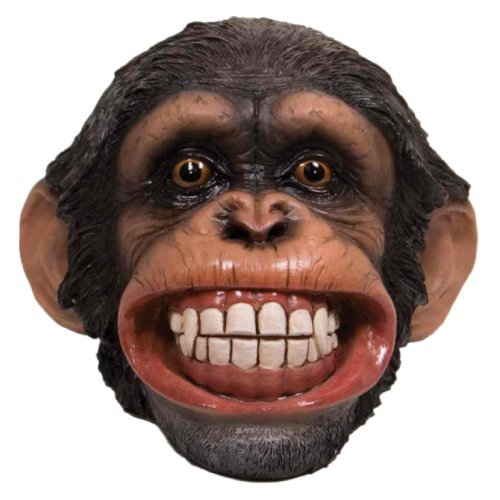 Bank/Smiling Chimp