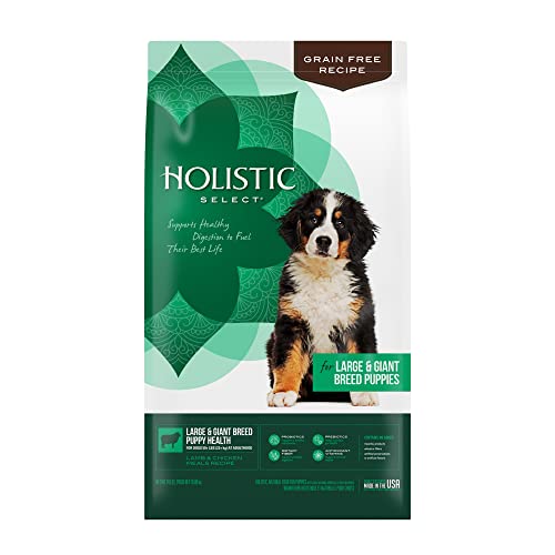 Holistic Select Dog Food - Grain Free Large & Giant Breed Puppy with Lamb & Chicken