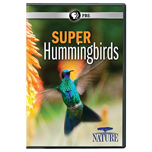 Nature/Super Hummingbirds@PBS/Dvd