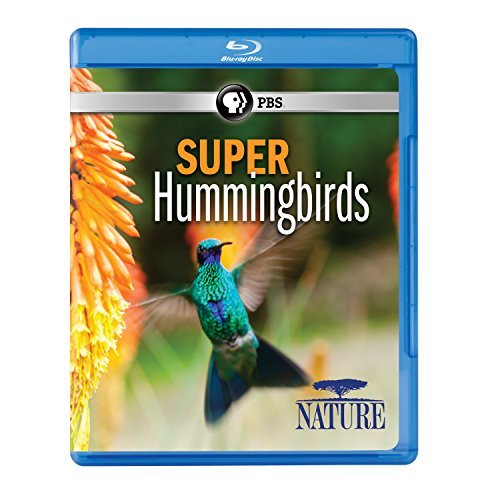 Nature Super Hummingbirds Pbs Blu Ray 