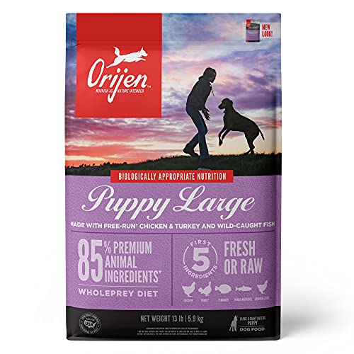 Orijen Dog Food - Large Breed Puppy
