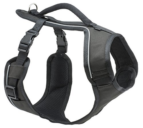 PetSafe Easysport Harness - Black