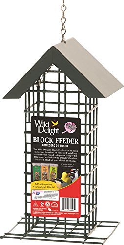 Wild Delights Block Feeder