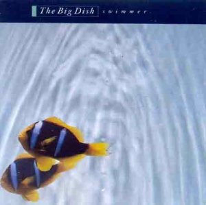 The Big Dish/Swimmer