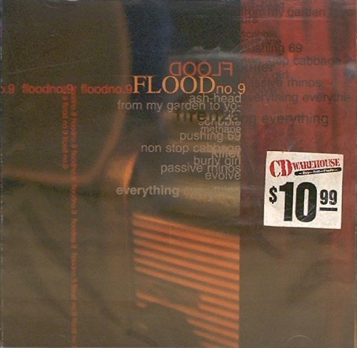 Flood No.9/Firenza
