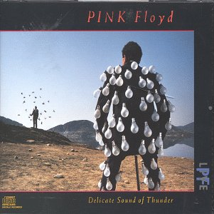 Pink Floyd/Delicate Sound Of Thunder-Live