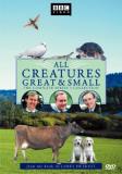 All Creatures Great & Small Series 3 Clr Nr 4 DVD 