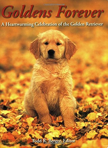 Todd Berger Goldens Forever A Heartwarming Celebration Of The Golden Retrieve 